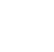 Bisons logo